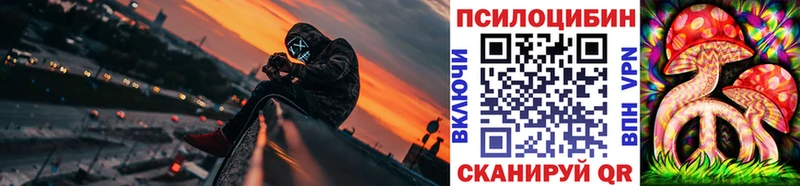 Купить  Заволжск  Галлюциногенные грибы Psilocybe 